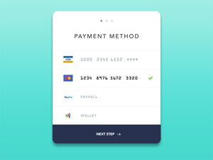 Payment Method Widget