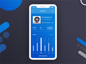 User Dashboard Mobile Design