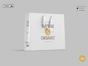 Shopping Bag Design Mockup