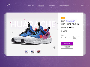 Nike Sneaker Product
