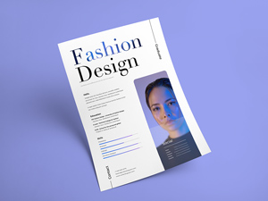 The Design Resume CV