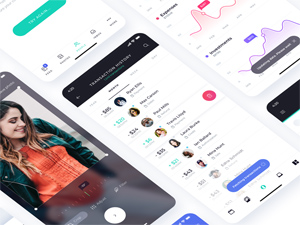 Transaction History For Adobe Xd