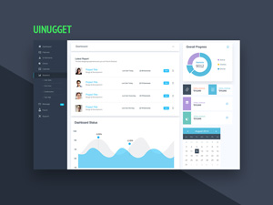 UInugget Dashboard Design