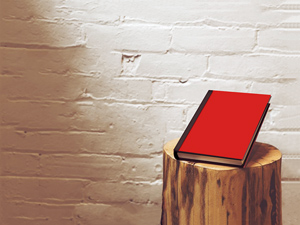 Unique Book Mockup