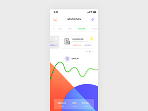 Wallet Statistics Dashboard iOS App