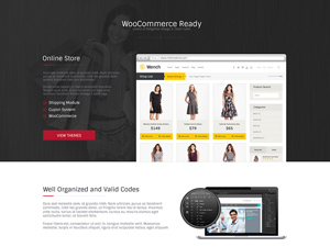 Portfolio Agency Website Template