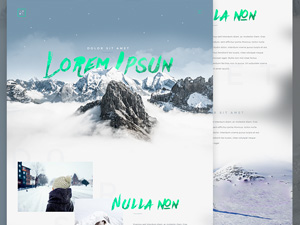 Winter Shot Template