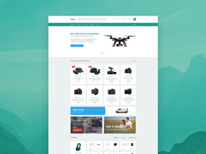 Zelvit Website Template