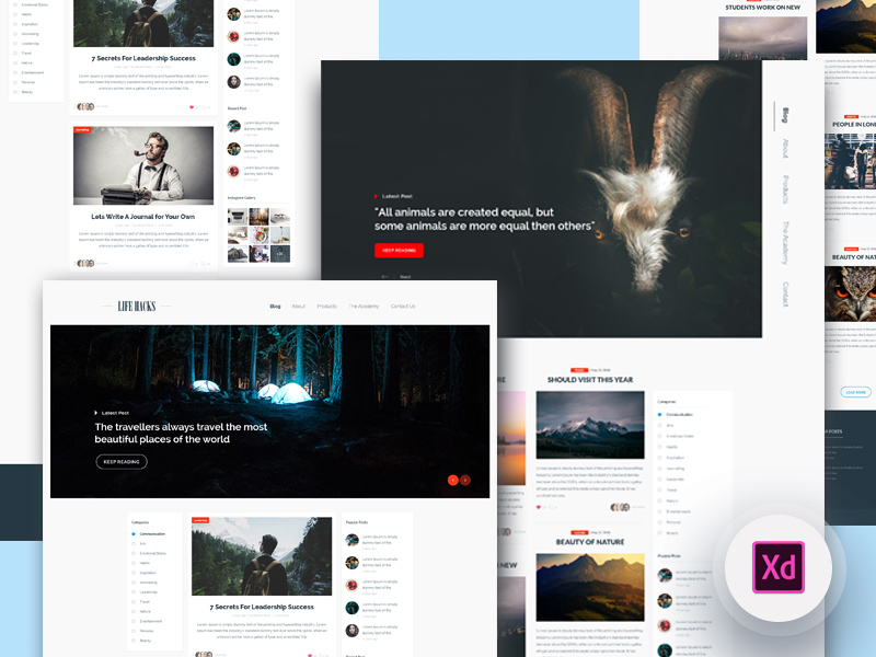2 Blog Homepage XD Resource