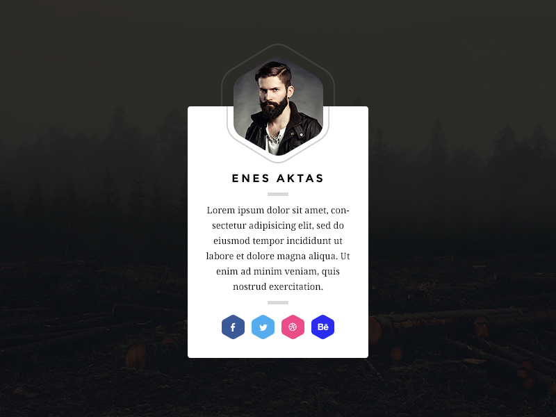 Profile Card