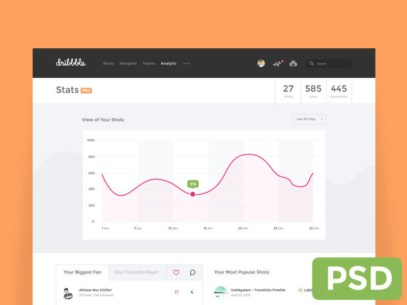 Dribbble Dashboard Concept