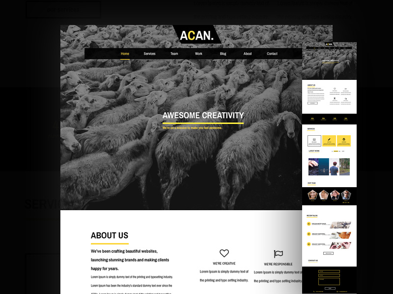 ACAN Template