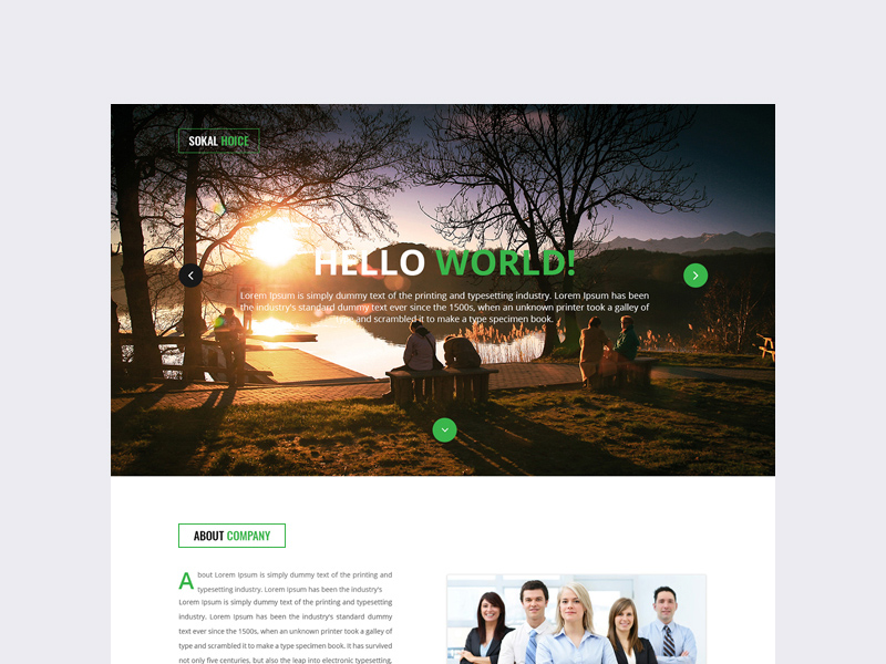 Sokal Hoice Portfolio Template