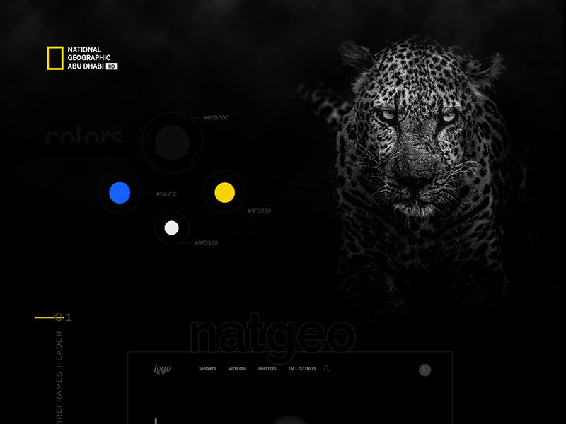 National Geographic Website Template Redesign