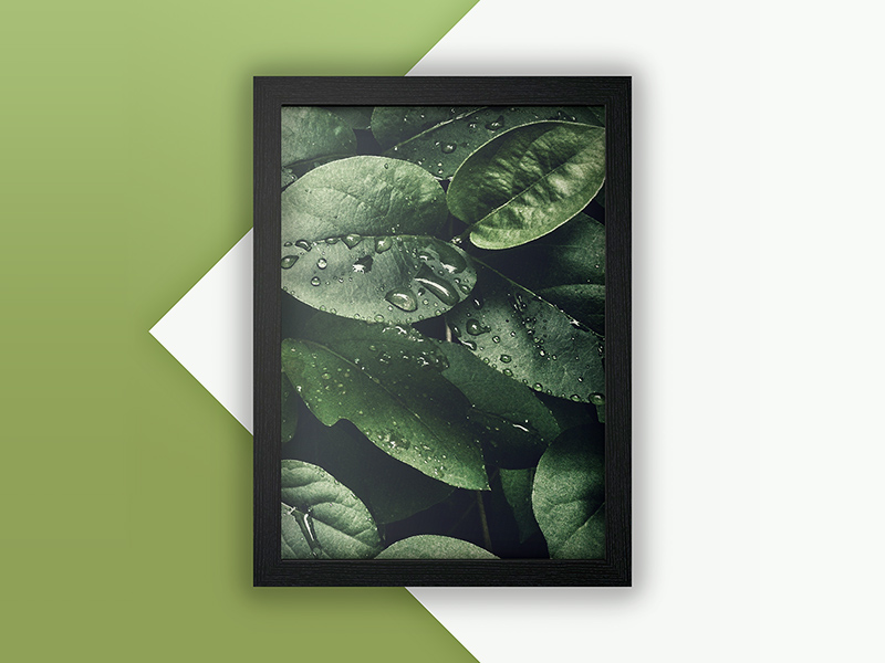 Photo Frame Mockup
