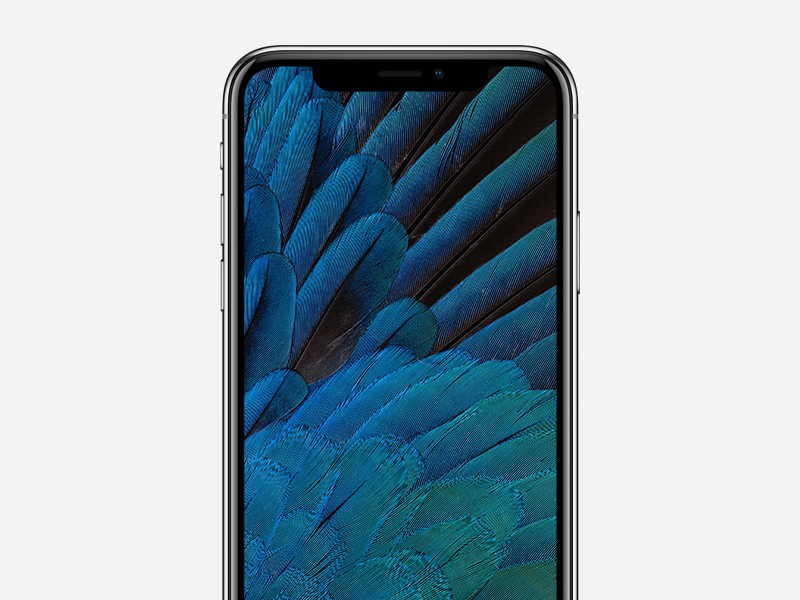 iPhone X Mockup | Free PSD Template | PSD Repo