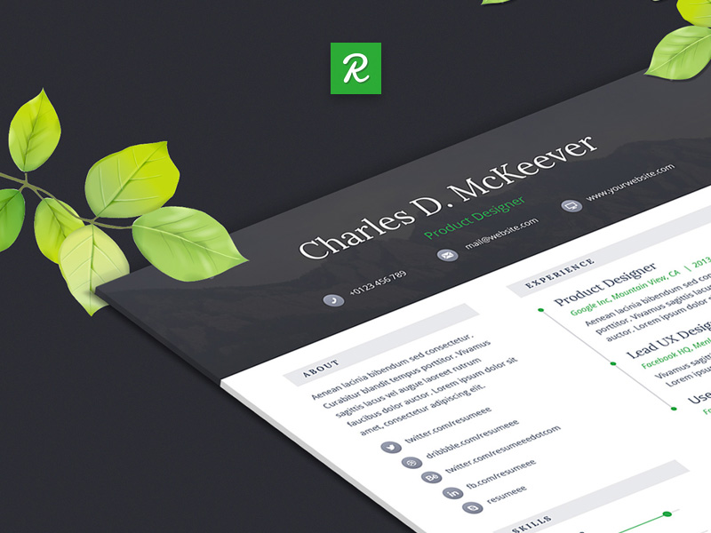 One Page CV/Resume Template